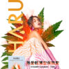 【HARU】熱愛輕薄型保險套10入｜超薄體驗｜0距離接觸｜約會必備｜猛男利器