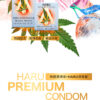 【HARU】熱愛輕薄型保險套10入｜超薄體驗｜0距離接觸｜約會必備｜猛男利器