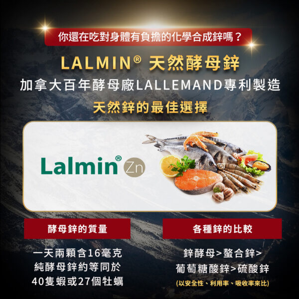 九五之丹 頂級黑瑪卡威猛錠 丨精力補充丨體力補充丨威猛男神必備 - 威猛男神 商品圖片