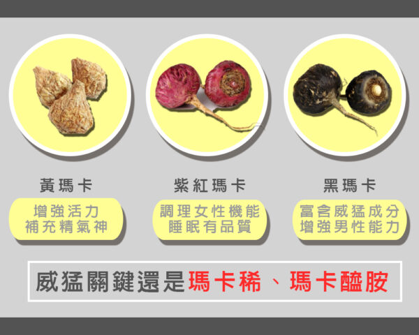 九五之丹 頂級黑瑪卡威猛錠 丨精力補充丨體力補充丨威猛男神必備 - 威猛男神 商品圖片