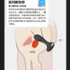 塞特肛塞按摩器｜肛塞快感｜後庭快感｜10種震動模式