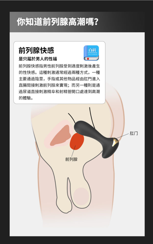 塞特肛塞按摩器｜肛塞快感｜後庭快感｜10種震動模式