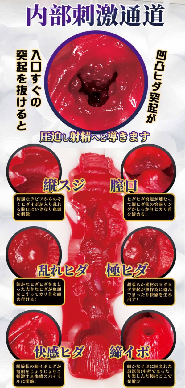 橋本-繁_04 FM S級名器 橋本有菜丨真實肉感丨吸吮快感丨女優陰部倒模復刻丨緊實設計丨非貫通設計