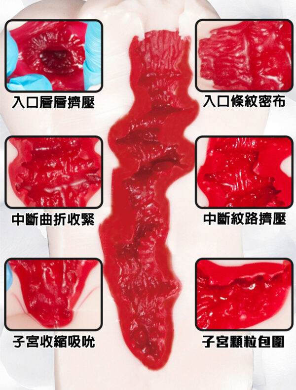 FM S級名器 深田詠美丨真實肉感丨吸吮快感丨女優陰部倒模復刻丨緊實設計丨非貫通設計