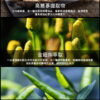 鬥牛士賦活修復膏-详情页-繁_08 Orgie-Touro 鬥牛士男性保養液丨男神必備丨約會精品丨威猛男神丨修復持久 - 潤滑液 商品圖片